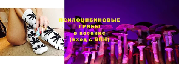 МДПВ Нефтегорск